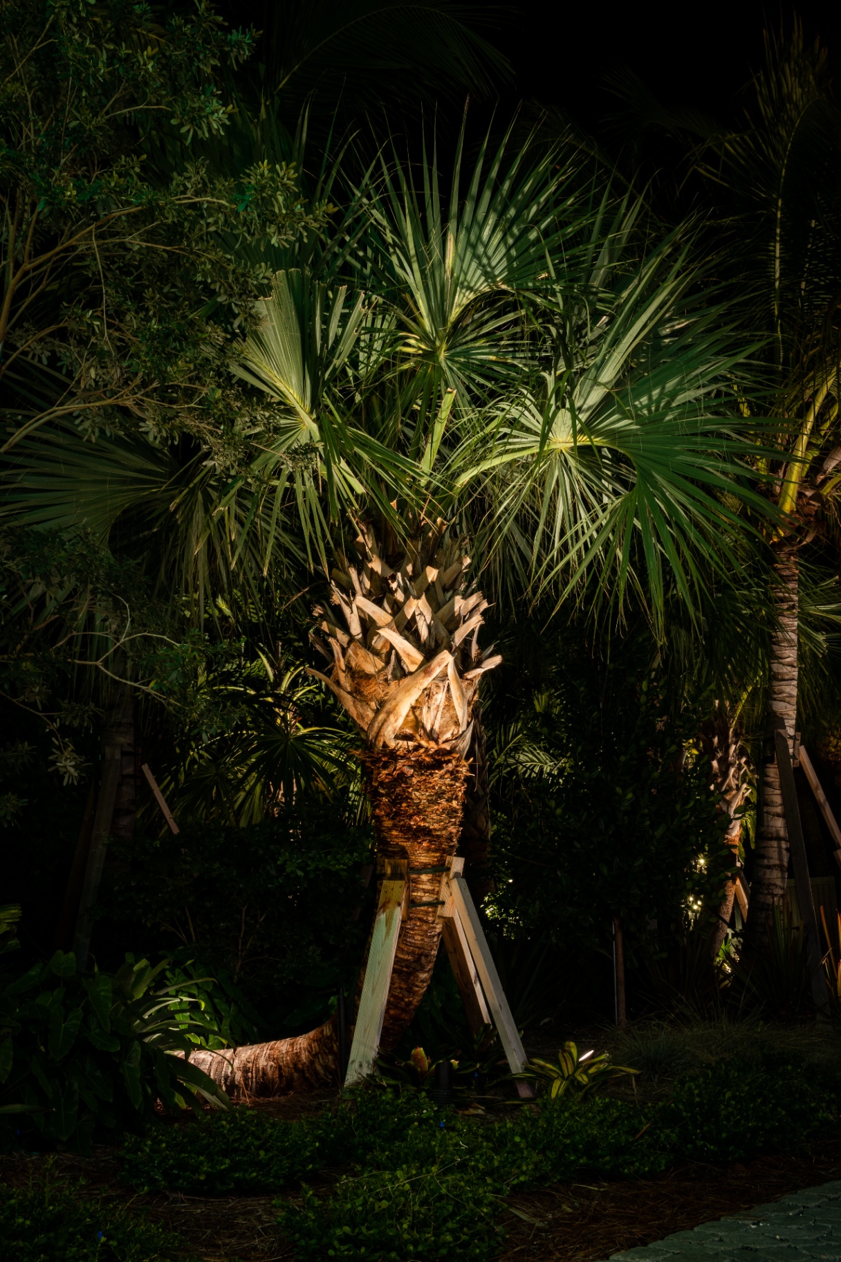 Landscape lighting project